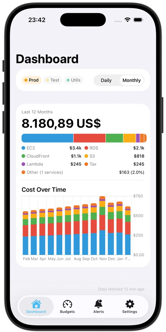 CostPulse dashboard with cost overview, service breakdown chart, and monthly trends